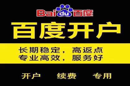 百度竞价推广代运营成功案例解读